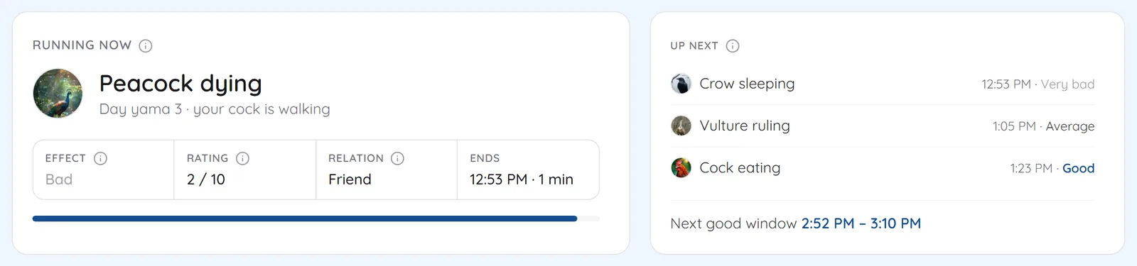Panch Pakshi screen showing the activity running now with its rating, and the next activities with their times